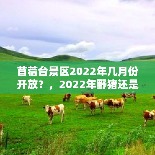 苜蓿台景区2022年几月份开放？，2022年野猪还是不是保护动物？