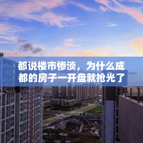 都说楼市惨淡，为什么成都的房子一开盘就抢光了？，楼市新政后现夜光盘