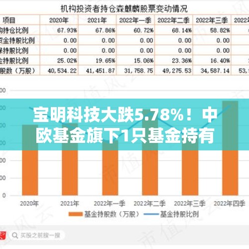 宝明科技大跌5.78%！中欧基金旗下1只基金持有