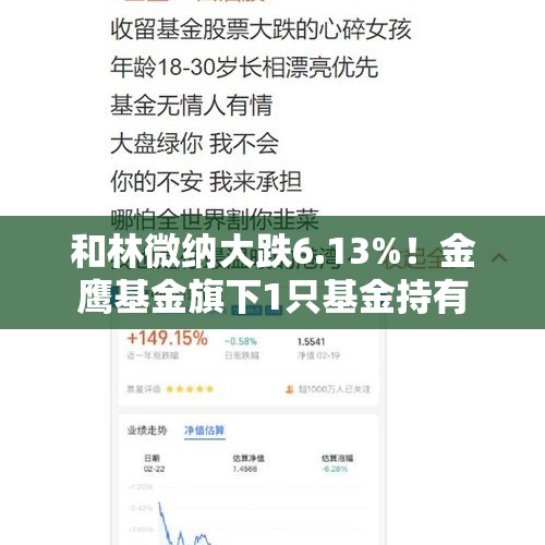 和林微纳大跌6.13%！金鹰基金旗下1只基金持有