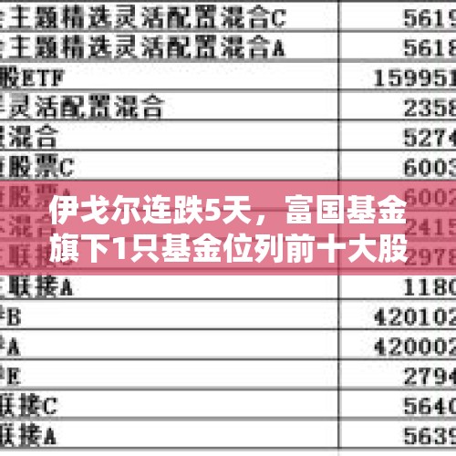 伊戈尔连跌5天，富国基金旗下1只基金位列前十大股东