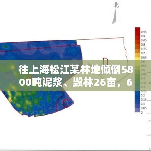往上海松江某林地倾倒5800吨泥浆、毁林26亩，6人获刑