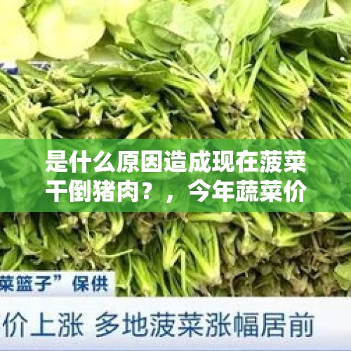 是什么原因造成现在菠菜干倒猪肉？，今年蔬菜价格是否会一直涨？