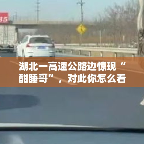 湖北一高速公路边惊现“酣睡哥”，对此你怎么看？，济宁一男子驾车违规被交警拦停后大喊:我女友在打胎，你怎么看待这件事？