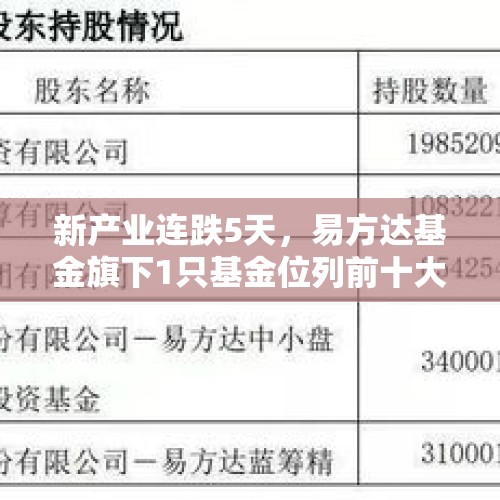 新产业连跌5天，易方达基金旗下1只基金位列前十大股东 - 今日头条