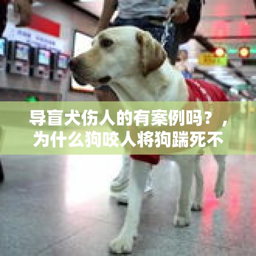 导盲犬伤人的有案例吗？，为什么狗咬人将狗踹死不算正当防卫？