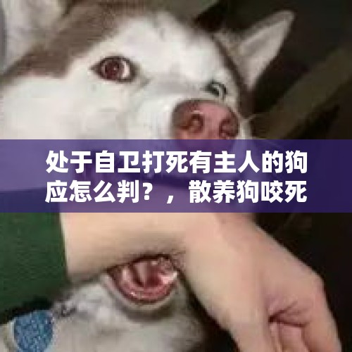 处于自卫打死有主人的狗应怎么判？，散养狗咬死人或咬后得狂犬病而亡，是狗还是人的问题？如是人的问题如何处理人才正确？