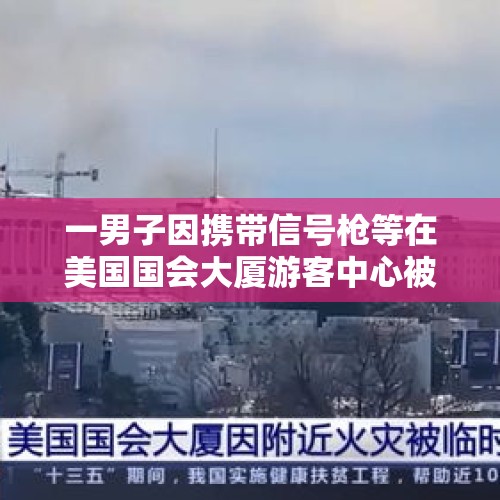 一男子因携带信号枪等在美国国会大厦游客中心被捕 - 今日头条