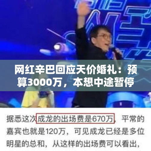 网红辛巴回应天价婚礼：预算3000万，本想中途暂停卖货，但觉得太low！如何评价？，天价小娇妻中顾小艾和历爵风的婚礼哪章举行的？