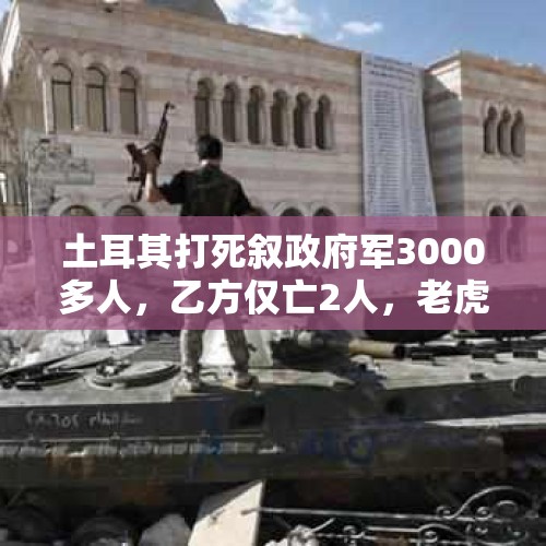 土耳其打死叙政府军3000多人，乙方仅亡2人，老虎师没用吗？，以色列国防部长解职