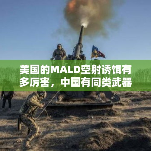 美国的MALD空射诱饵有多厉害，中国有同类武器吗？，红19地空导弹首展出