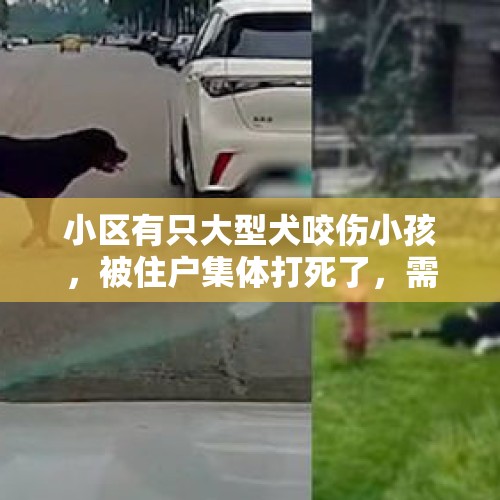 小区有只大型犬咬伤小孩，被住户集体打死了，需要赔偿狗主人吗？，闯动物基地杀狗伤人