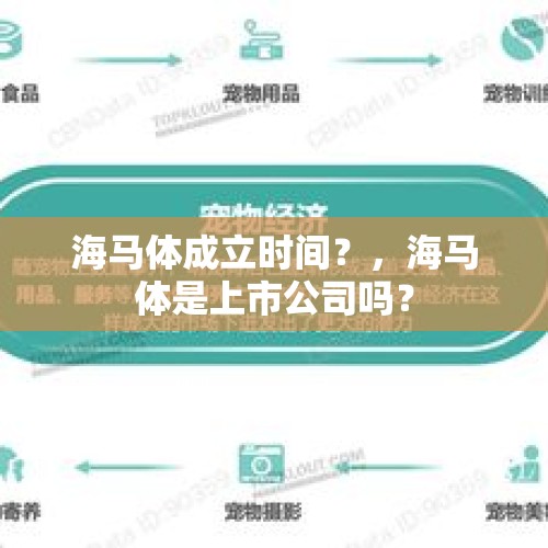 海马体成立时间？，海马体是上市公司吗？