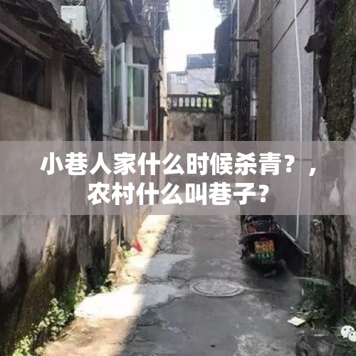 小巷人家什么时候杀青？，农村什么叫巷子？