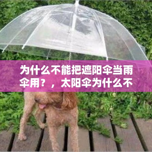 为什么不能把遮阳伞当雨伞用？，太阳伞为什么不可以当雨伞用吗？