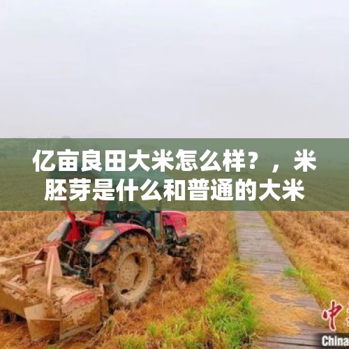 亿亩良田大米怎么样？，米胚芽是什么和普通的大米有什么区别，有没有什么米胚芽的产品可以推荐一下？