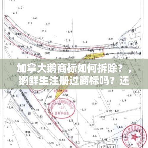 加拿大鹅商标如何拆除？，鹅鲜生注册过商标吗？还有哪些分类可以注册？