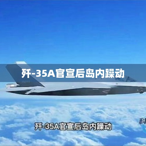 歼-35A官宣后岛内躁动