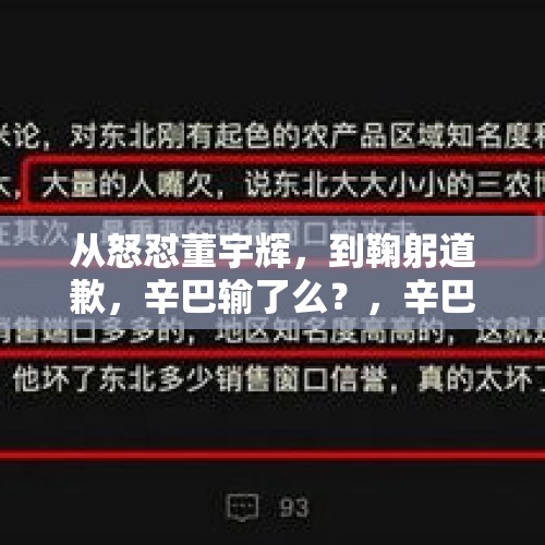 从怒怼董宇辉，到鞠躬道歉，辛巴输了么？，辛巴为什么要给董宇辉道歉？