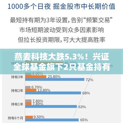 燕麦科技大跌5.3%！兴证全球基金旗下2只基金持有 - 今日头条