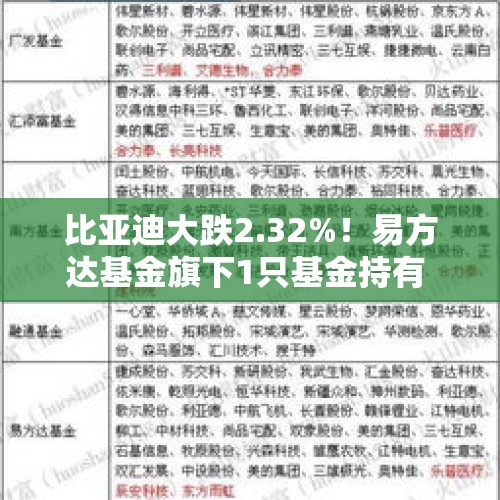 比亚迪大跌2.32%！易方达基金旗下1只基金持有 - 今日头条