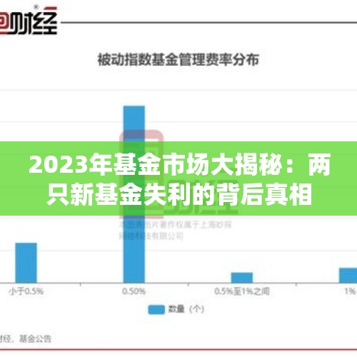 2023年基金市场大揭秘：两只新基金失利的背后真相！ - 今日头条