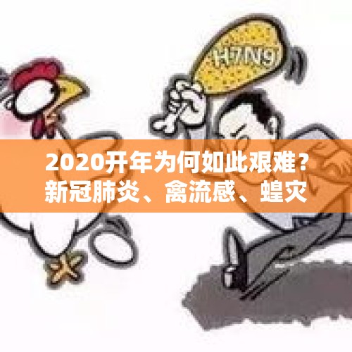 2020开年为何如此艰难？新冠肺炎、禽流感、蝗灾接踵而来？，诺如病毒感染增多