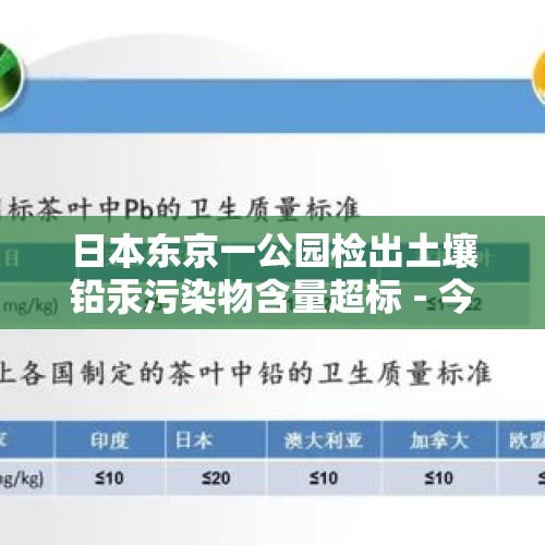 日本东京一公园检出土壤铅汞污染物含量超标 - 今日头条