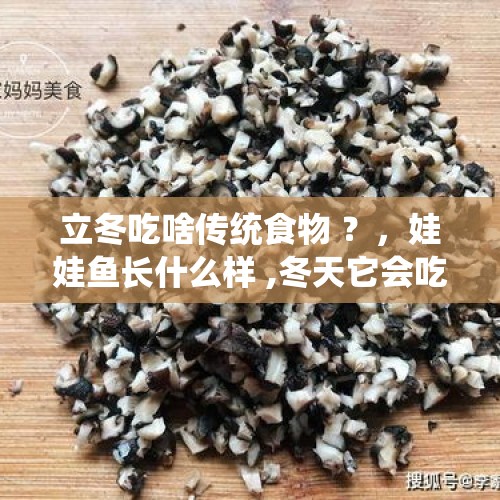 立冬吃啥传统食物 ？，娃娃鱼长什么样 ,冬天它会吃东西吗？