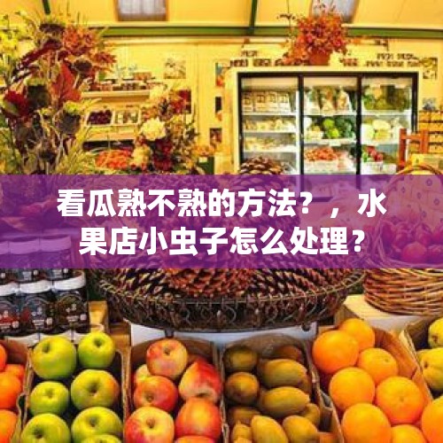 看瓜熟不熟的方法？，水果店小虫子怎么处理？