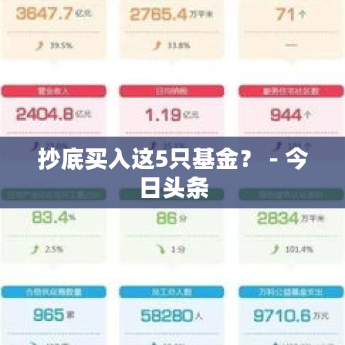 抄底买入这5只基金？ - 今日头条