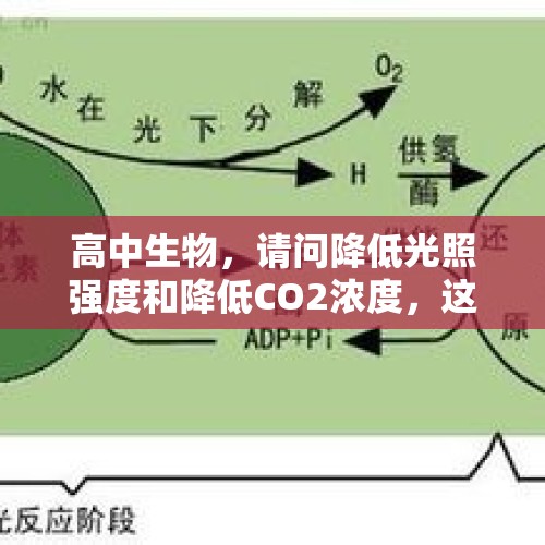 高中生物，请问降低光照强度和降低CO2浓度，这两种的C3和C5怎么变？，ccer自愿减排进展怎么样了？