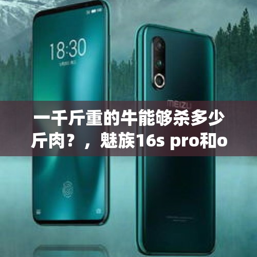 一千斤重的牛能够杀多少斤肉？，魅族16s pro和oppo reno ace有什么不一样的地方？