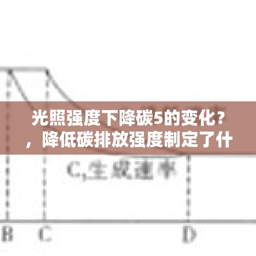 光照强度下降碳5的变化？，降低碳排放强度制定了什么计划？