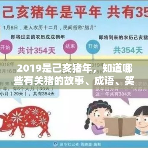 2019是己亥猪年，知道哪些有关猪的故事、成语、笑话、祝福语？搞笑图片交流一下？，运20女机长载兵抵珠