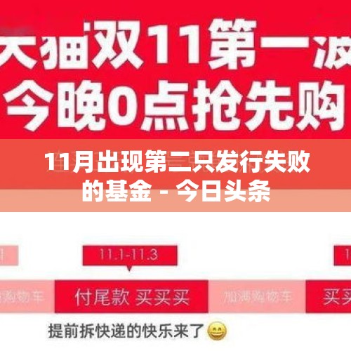 11月出现第二只发行失败的基金 - 今日头条