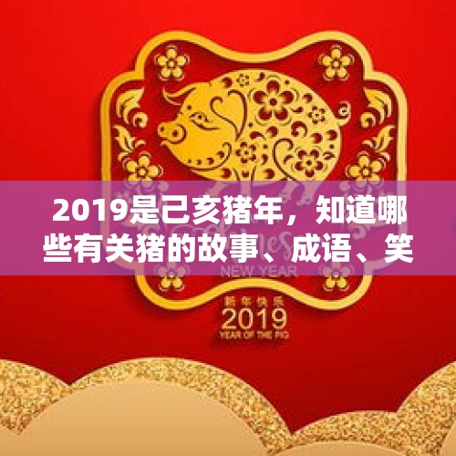 2019是己亥猪年，知道哪些有关猪的故事、成语、笑话、祝福语？搞笑图片交流一下？，分享儿子高中快乐的句子唯美短句？