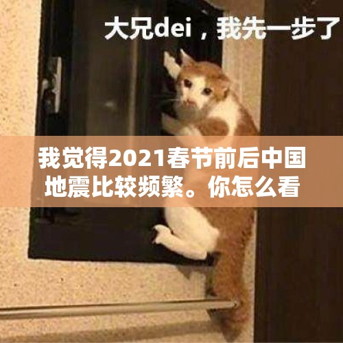 我觉得2021春节前后中国地震比较频繁。你怎么看？，动物危险感知为什么比人类强？