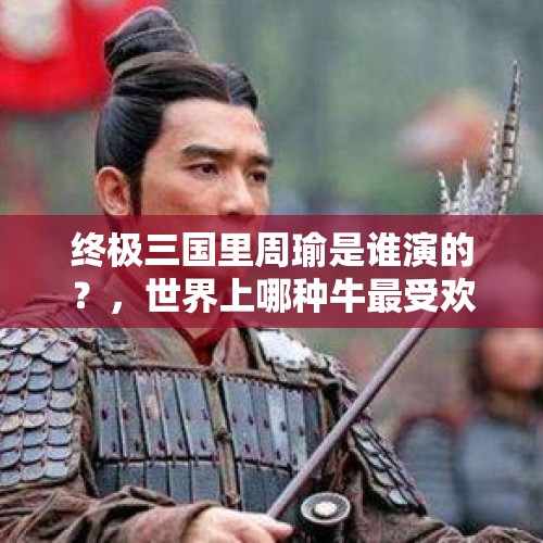 终极三国里周瑜是谁演的？，世界上哪种牛最受欢迎？