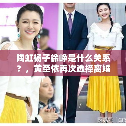 陶虹杨子徐峥是什么关系？，黄圣依再次选择离婚