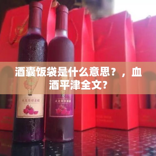 酒囊饭袋是什么意思？，血酒平津全文？