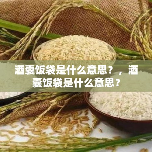 酒囊饭袋是什么意思？，酒囊饭袋是什么意思？