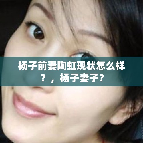 杨子前妻陶虹现状怎么样？，杨子妻子？