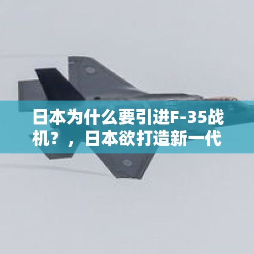 日本为什么要引进F-35战机？，日本欲打造新一代隐形战斗机，拒绝采用美国提议，背后有何考虑？