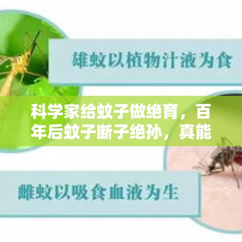 科学家给蚊子做绝育，百年后蚊子断子绝孙，真能实现吗？，夏天快到了，又到了蚊子苍蝇泛滥的季节，用什么方法不用打药可以除掉？