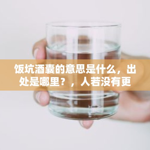 饭坑酒囊的意思是什么，出处是哪里？，人若没有更高的追求 就是酒囊饭袋？