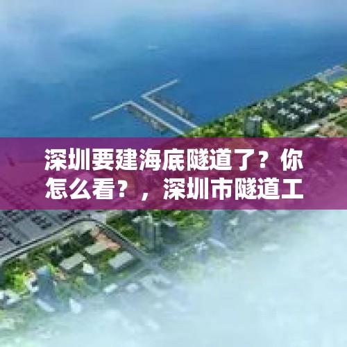 深圳要建海底隧道了？你怎么看？，深圳市隧道工程有限公司怎么样？