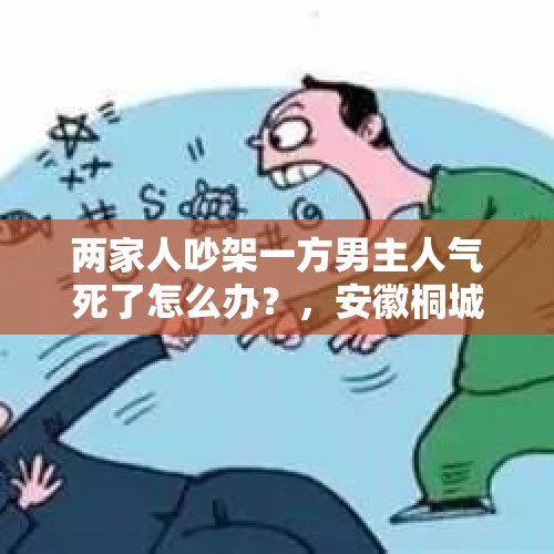 两家人吵架一方男主人气死了怎么办？，安徽桐城一对邻居因琐事吵架，一方被言语刺激气到病故，吵架气死人要不要担责？