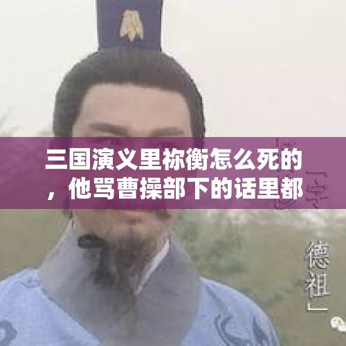 三国演义里祢衡怎么死的，他骂曹操部下的话里都有什么典故呢？，酒囊饭袋的意思？