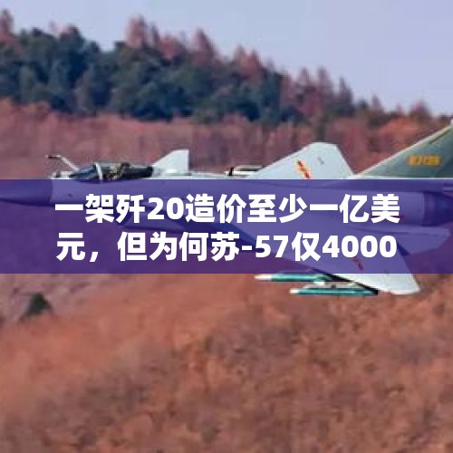 一架歼20造价至少一亿美元，但为何苏-57仅4000万？，歼-20与苏-57同框